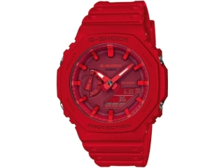 CASIO GA-2100-4AER